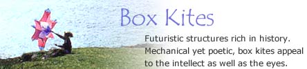 Box kites appeal to the intellect as well as the eyes.